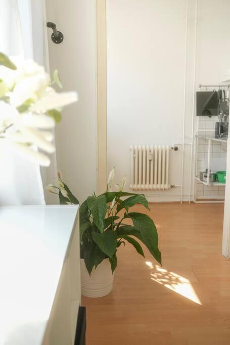 Stadtoase Wohnung Nahe Hauptbahnhof Кобленц Экстерьер фото